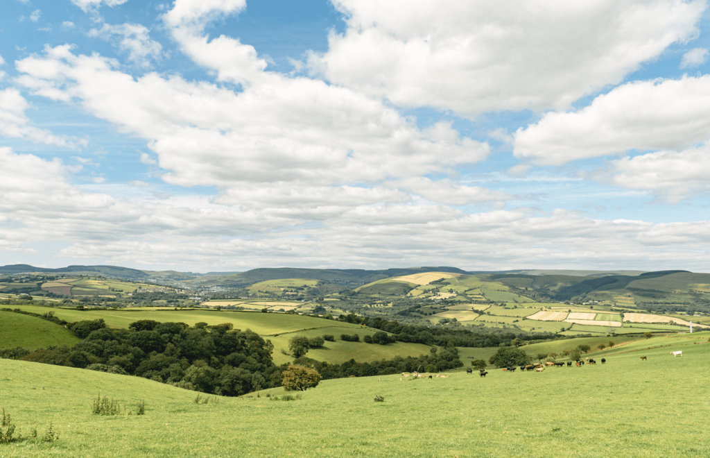Farming for the future