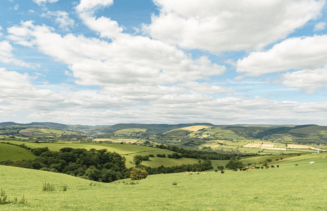 Farming for the future