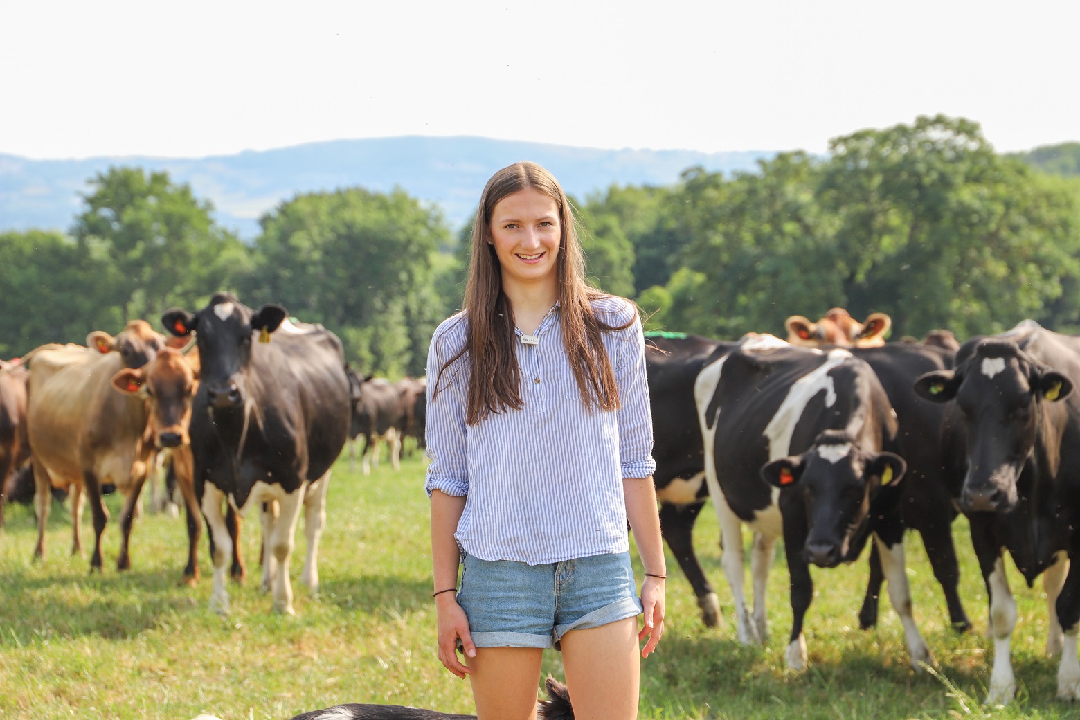 Students from Aberystwyth University begin a summer internship with Mentera and Farming Connect