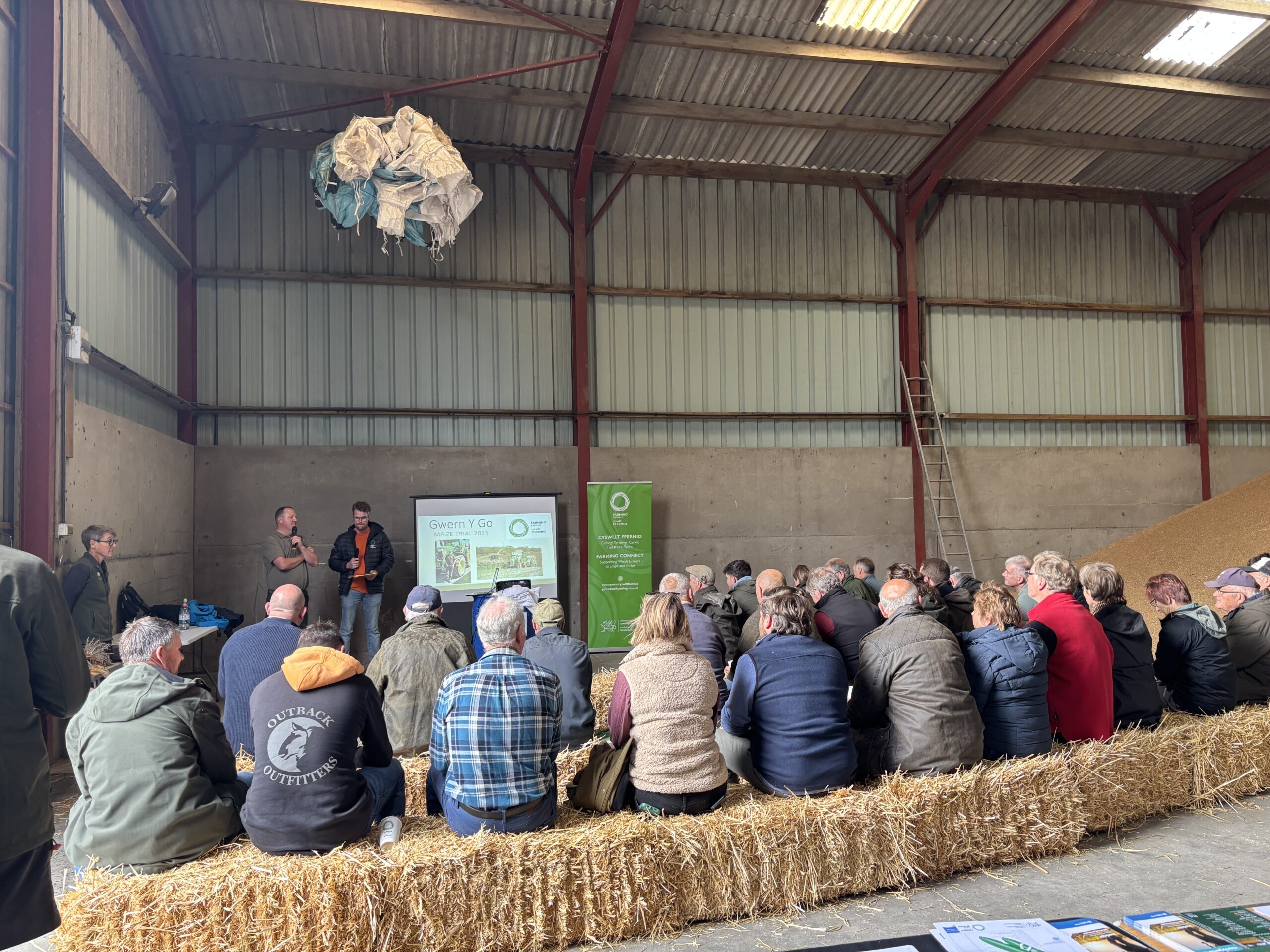 Chloe’s Blog: My Experience as a Farming Connect Intern